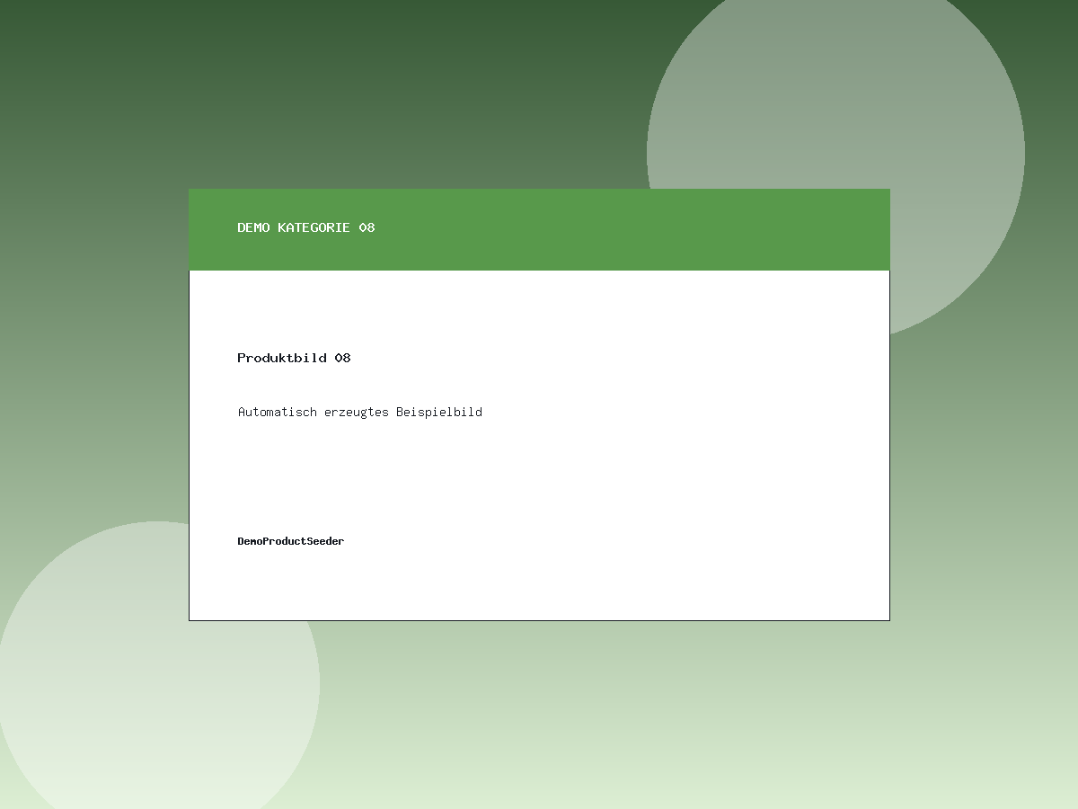 Demo Produktbild 08