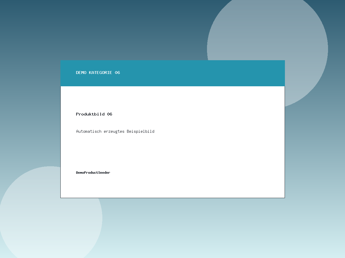 Demo Produktbild 06