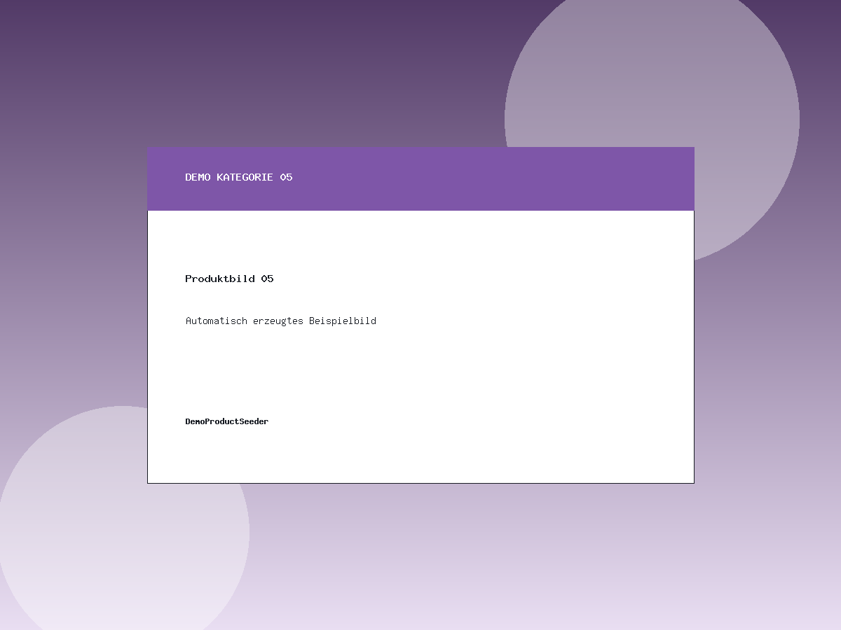 Demo Produktbild 05