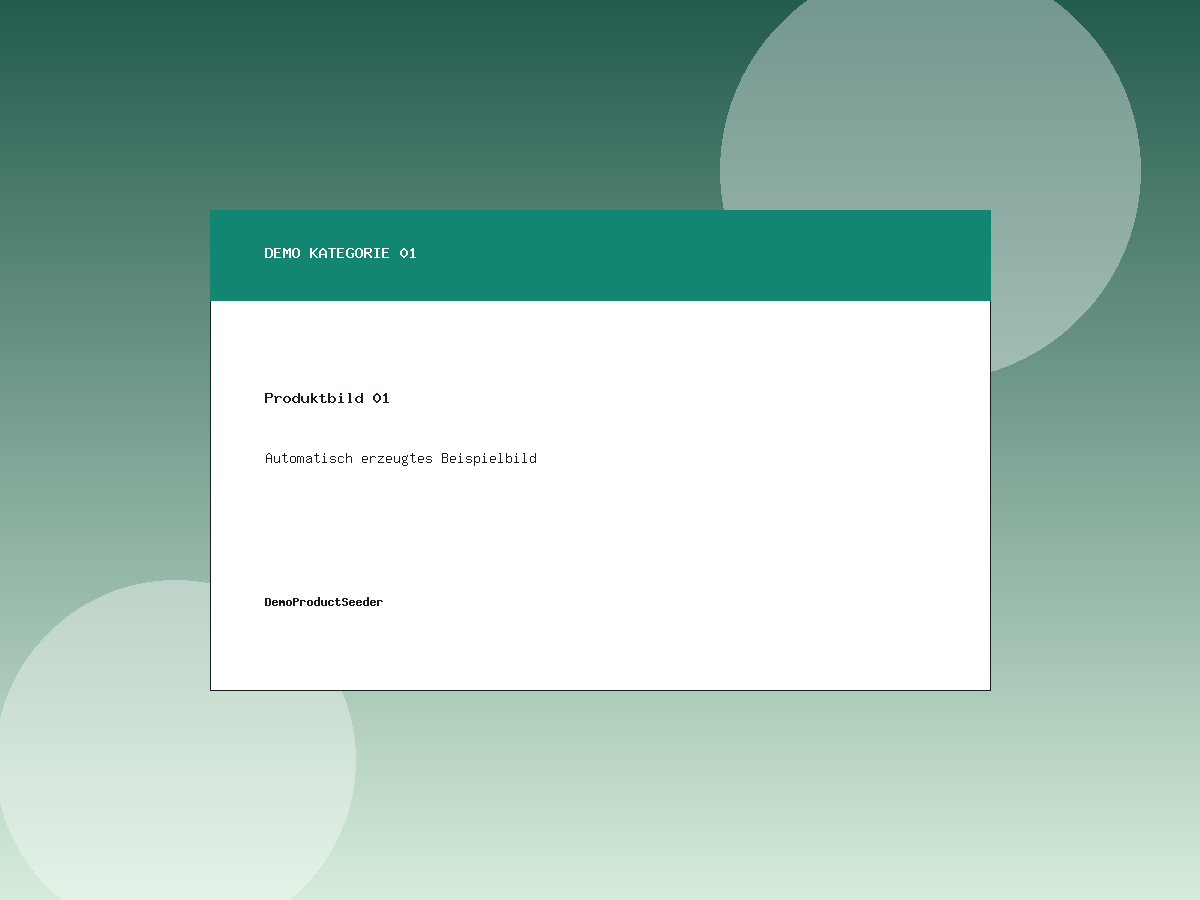 Demo Produktbild 01